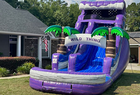 18 Wild Thing Water Slide Photo3” class=